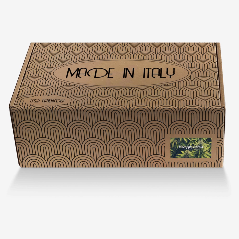 Sweet Terpenes custom made in Italy shoes by Heather Stanley | Box view