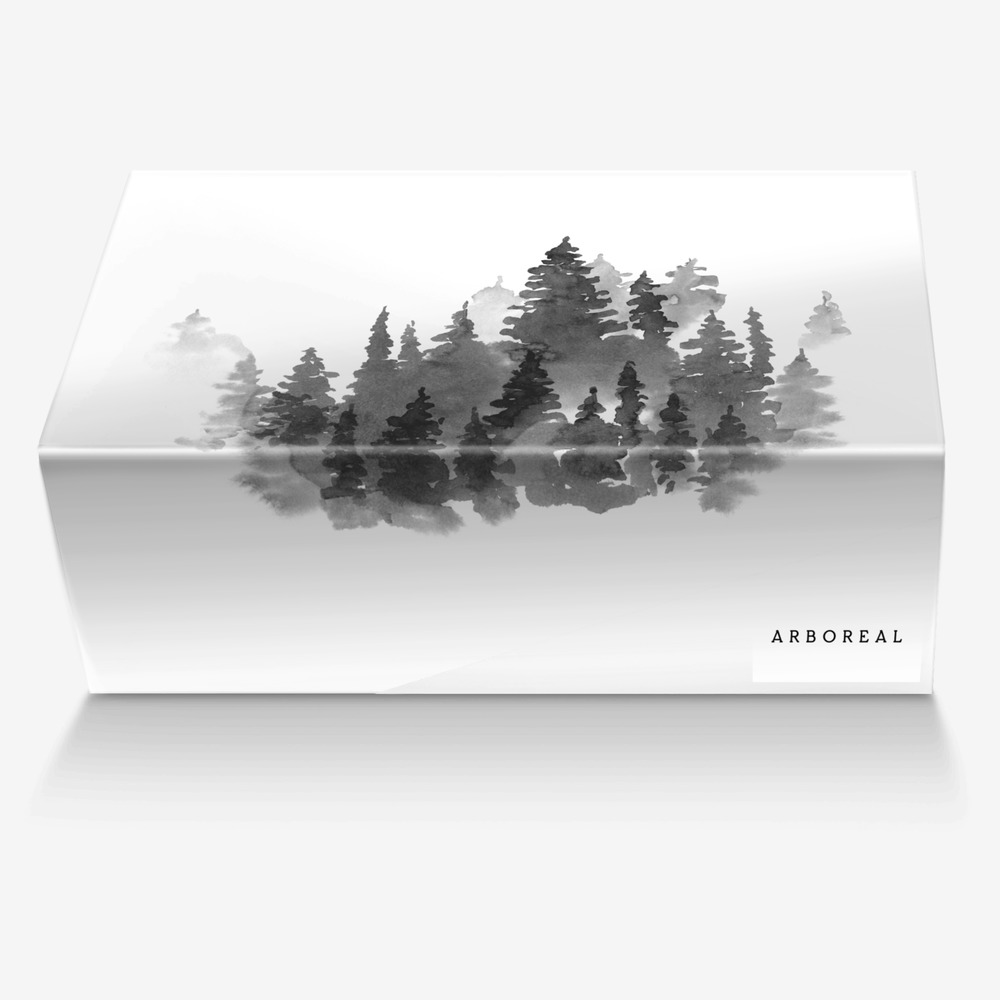 Arboreal custom made in Italy shoes by Aaron Belyea | Box view
