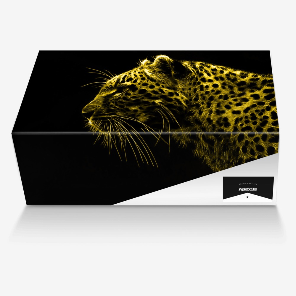 Apex3s custom made in Italy shoes by Frankie Robinson | Box view