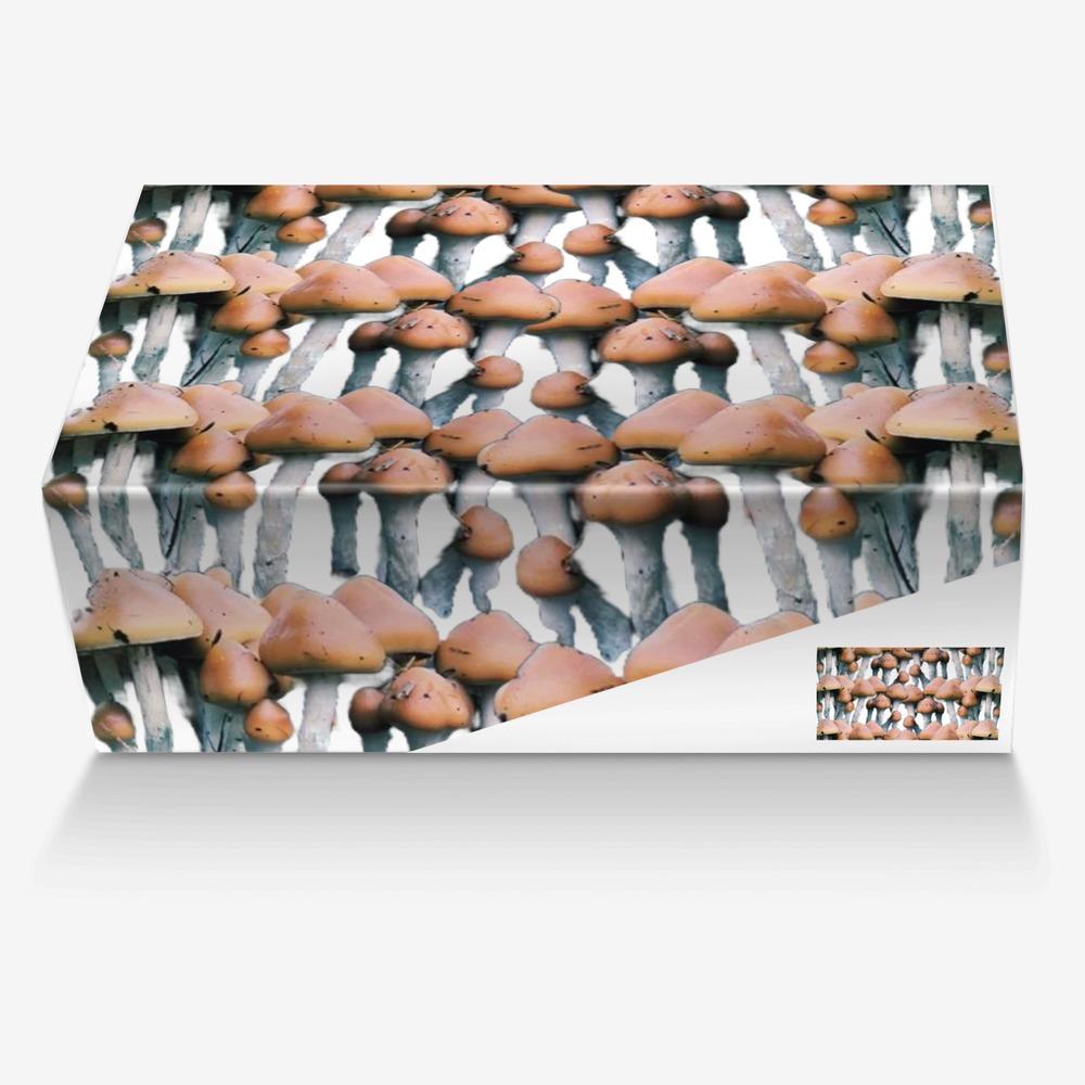 Sweet Terpenes custom made in Italy shoes by Heather Stanley | Box view