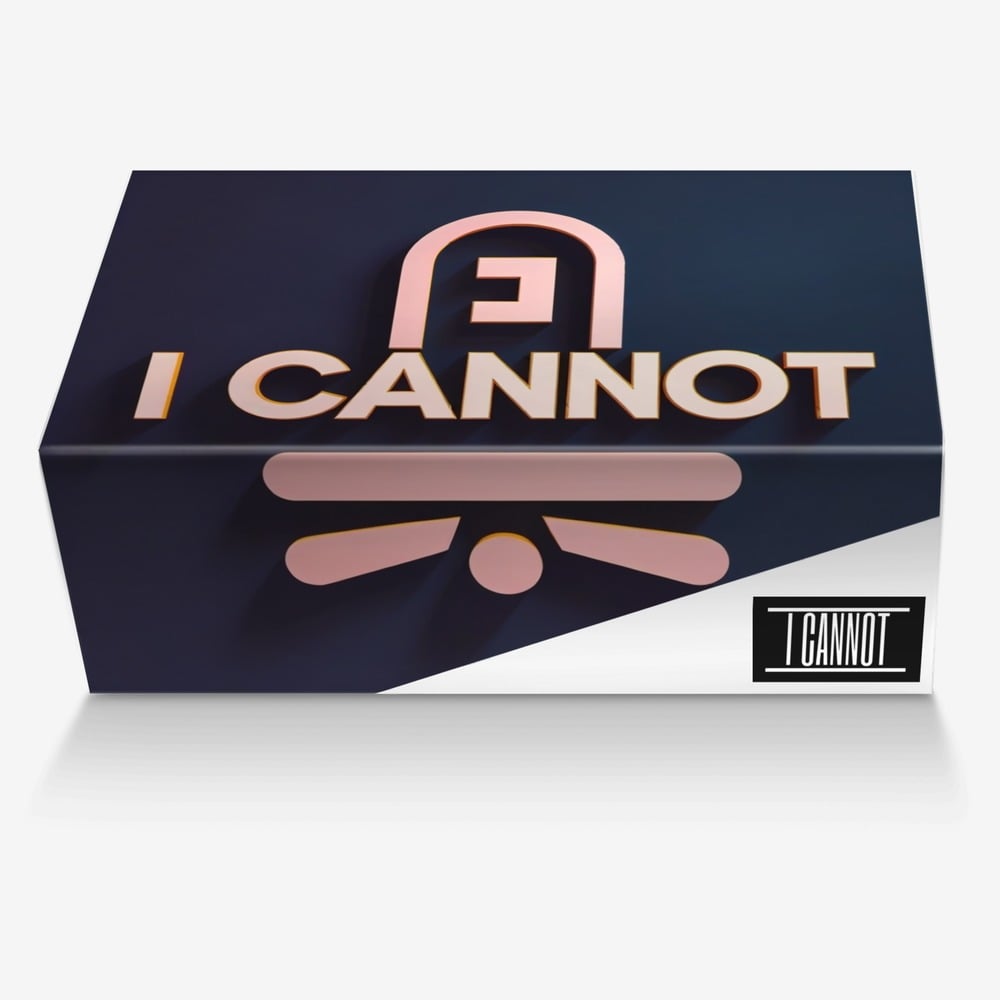 I CANNOT custom made in Italy shoes by Chincia Kenner | Box view