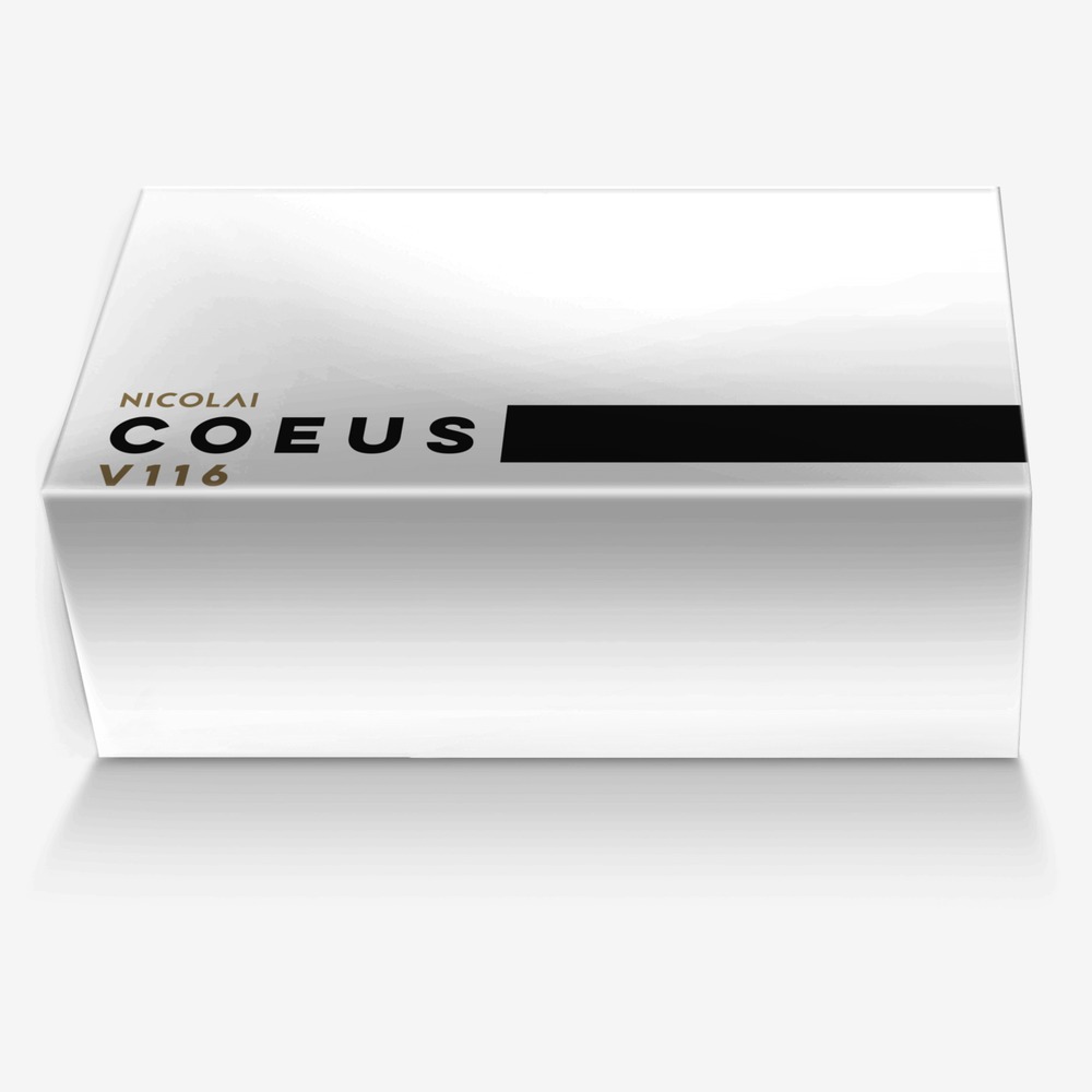 Coeus custom made in Italy shoes by Shawn Mckay | Box view