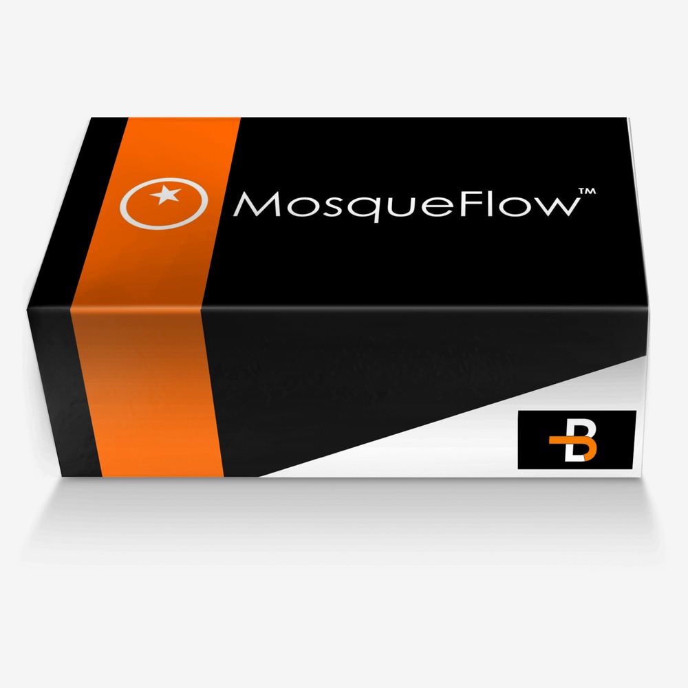 MosqueFlow BJBlog custom made in Italy shoes by Mosque Flow @mosqueflow | Box view