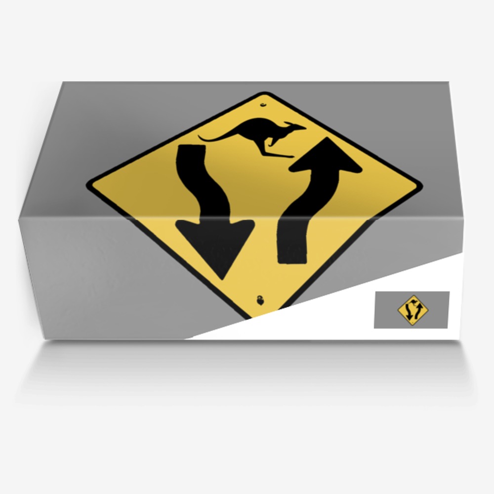 Funny Kangaroo Sign custom made in Italy shoes by Denis Marsili | Box view