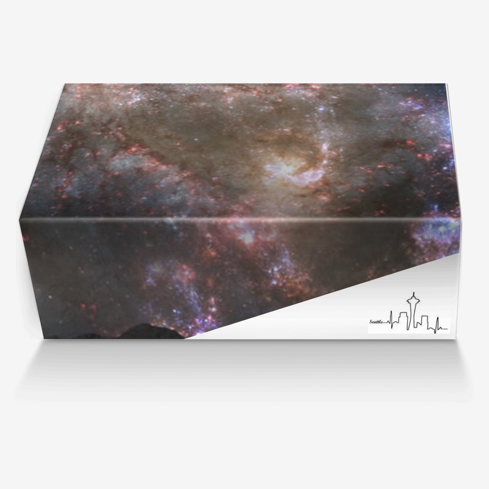 Andromeda custom made in Italy shoes by Jonathan Vasquez | Box view