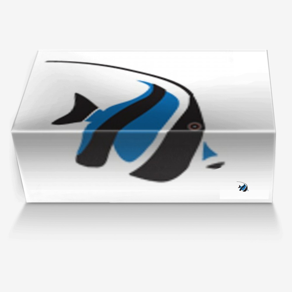The watery waves custom made in Italy shoes by Sage | Box view