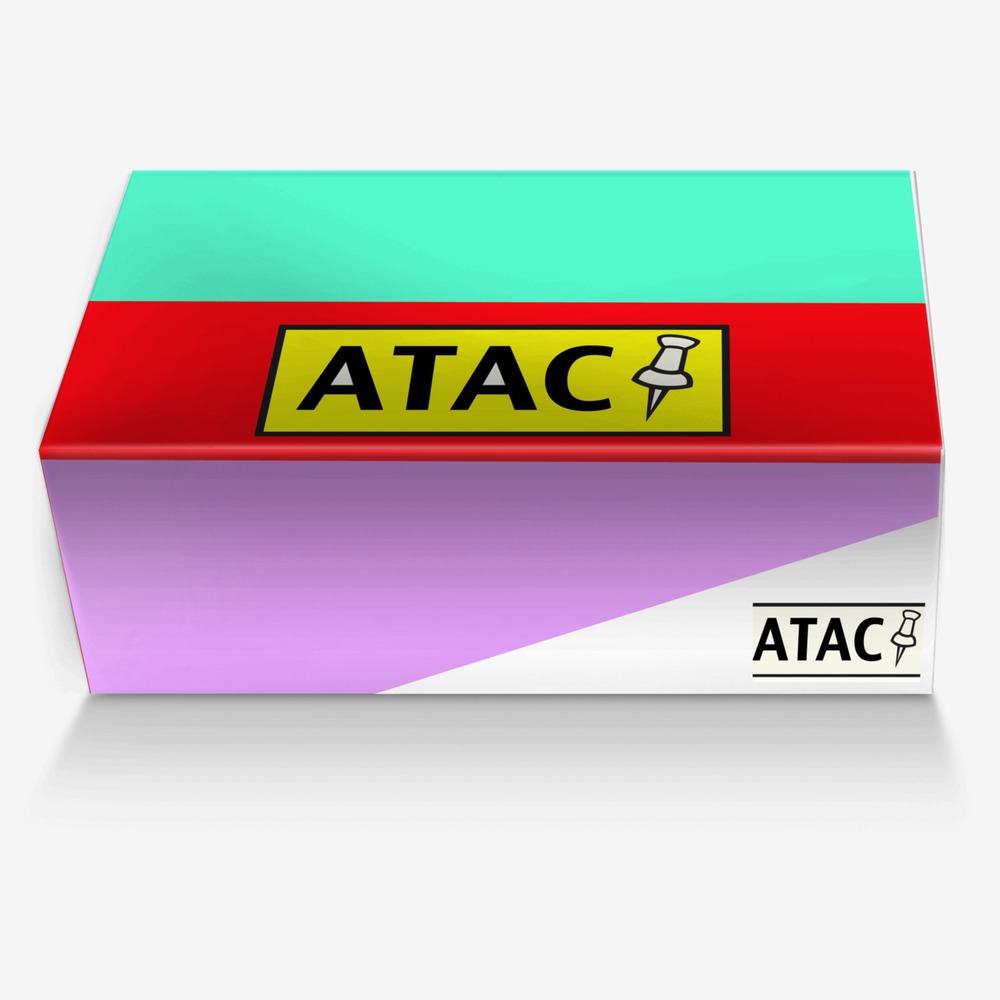 attic custom made in Italy shoes by Hunter Speagle | Box view