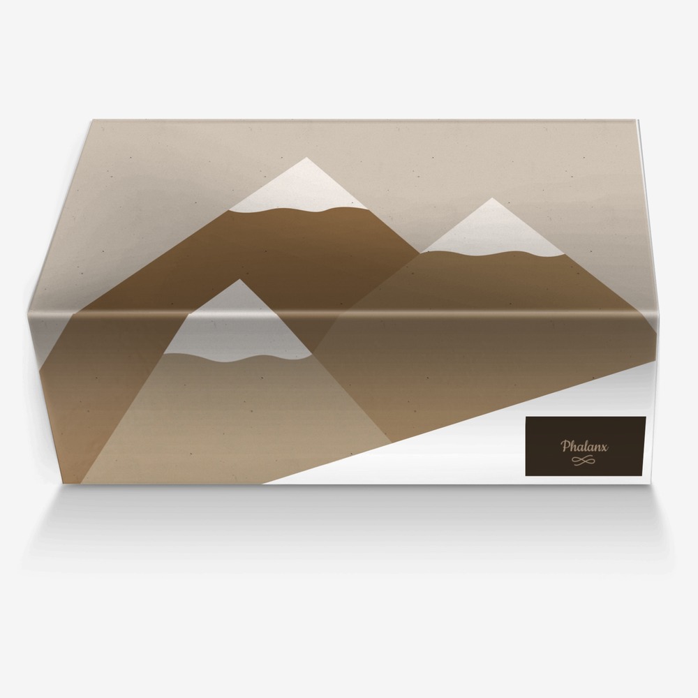 Phalanx custom made in Italy shoes by Alex Harrison | Box view
