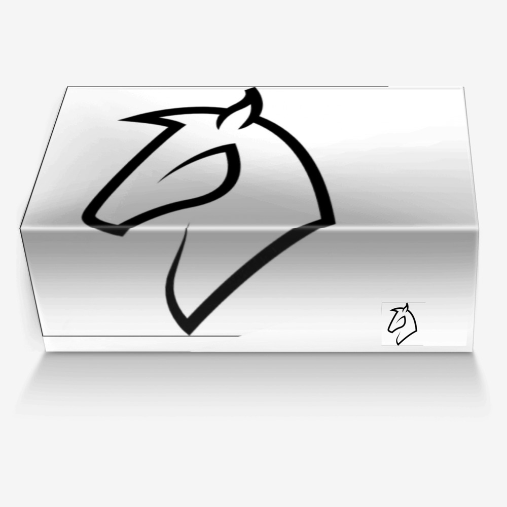 Horse Heels custom made in Italy shoes by Christie Grace De Leon | Box view