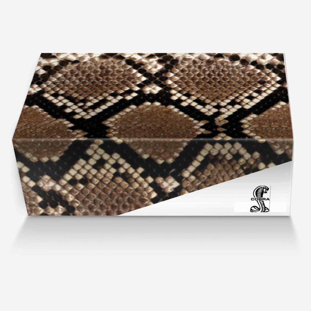 Cobras custom made in Italy shoes by Simon Charles Day | Box view