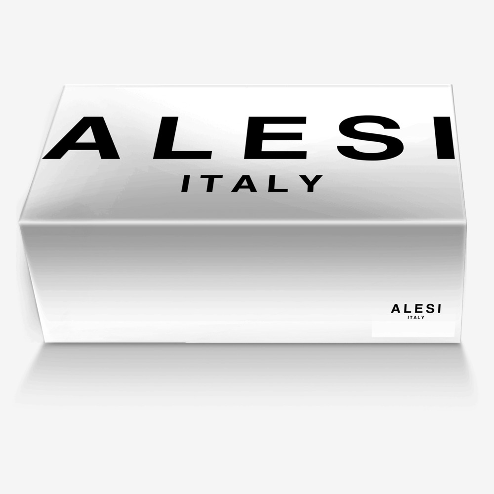 Alesi Skater custom made in Italy shoes by Lonanthony Parker | Box view