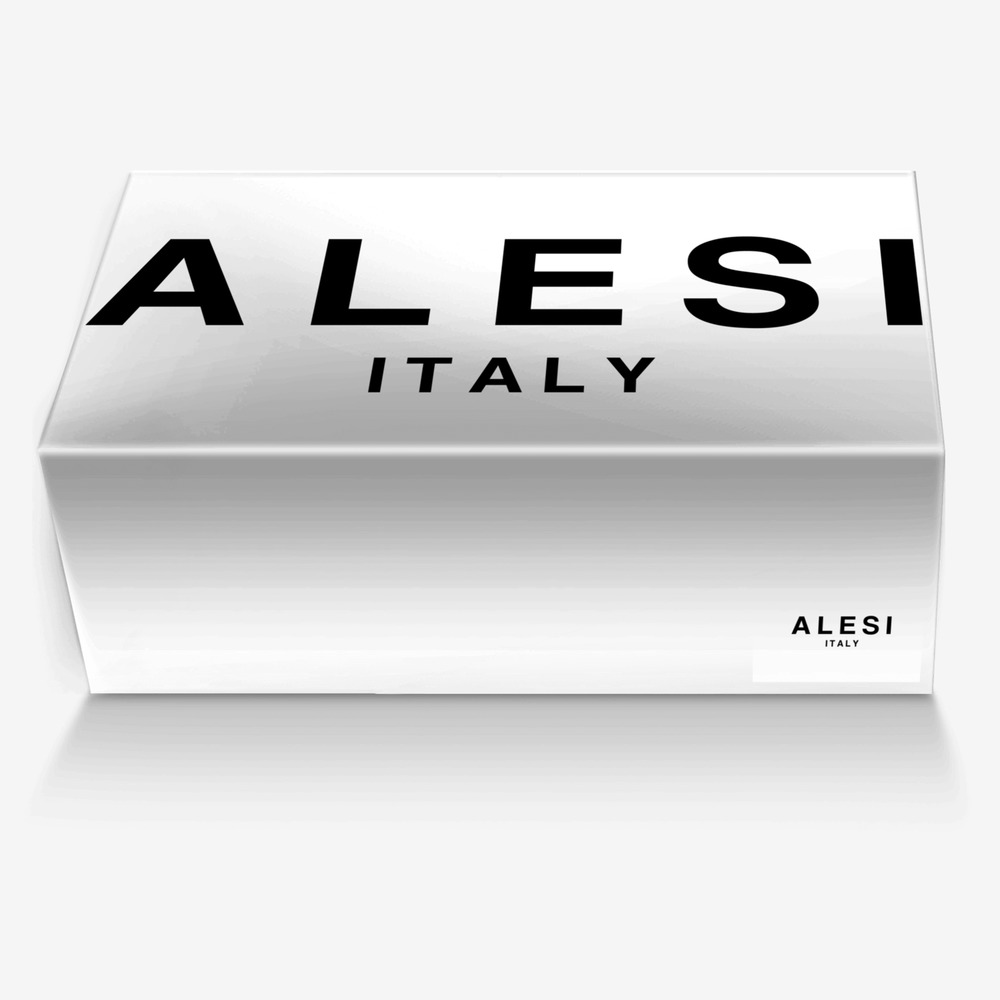 Alesi Skater custom made in Italy shoes by Lonanthony Parker | Box view