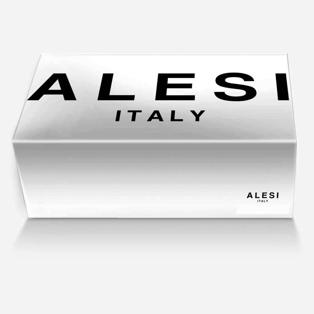 Alesi Skater custom made in Italy shoes by Lonanthony Parker | Box view