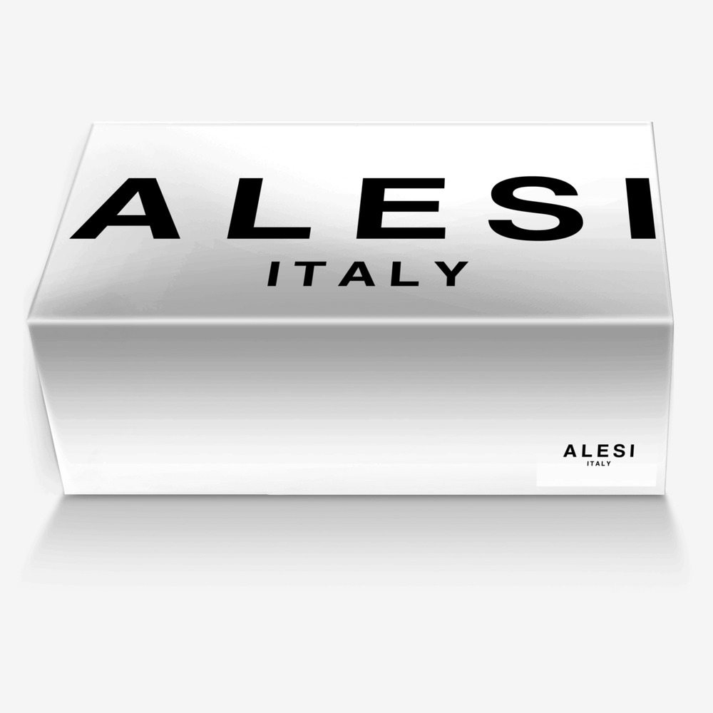 Alesi Skater custom made in Italy shoes by Lonanthony Parker | Box view
