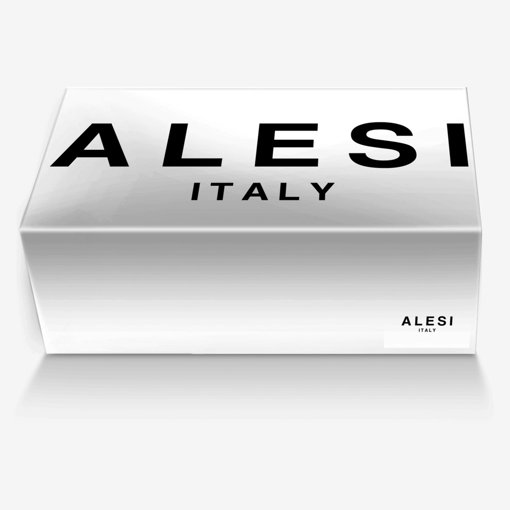 Alesi Skater  custom made in Italy shoes by Lonanthony Parker | Box view