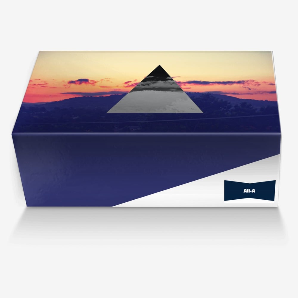 Ali-A custom made in Italy shoes by Pierrecam | Box view