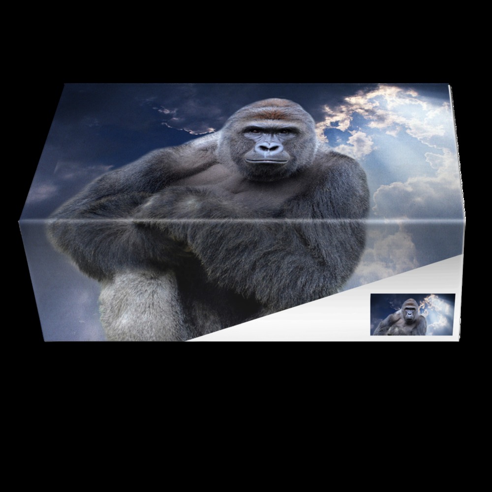Harambe 12s shoes deals