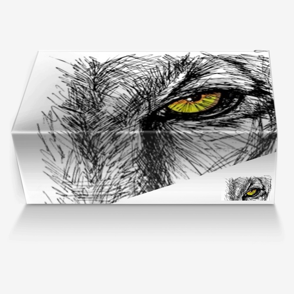 Lioness custom made in Italy shoes by Glenn Weston | Box view