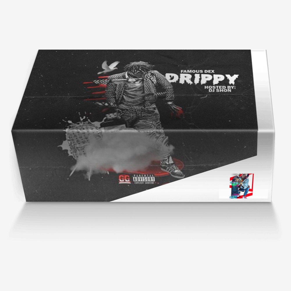 Dexter The Robot custom made in Italy shoes by Anthony Aprince Dashoune Davis | Box view