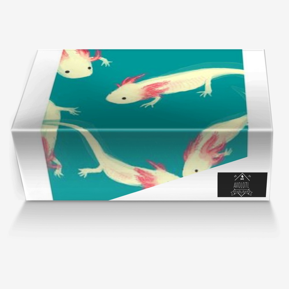 Axolotl  custom made in Italy shoes by Brianna Rader | Box view