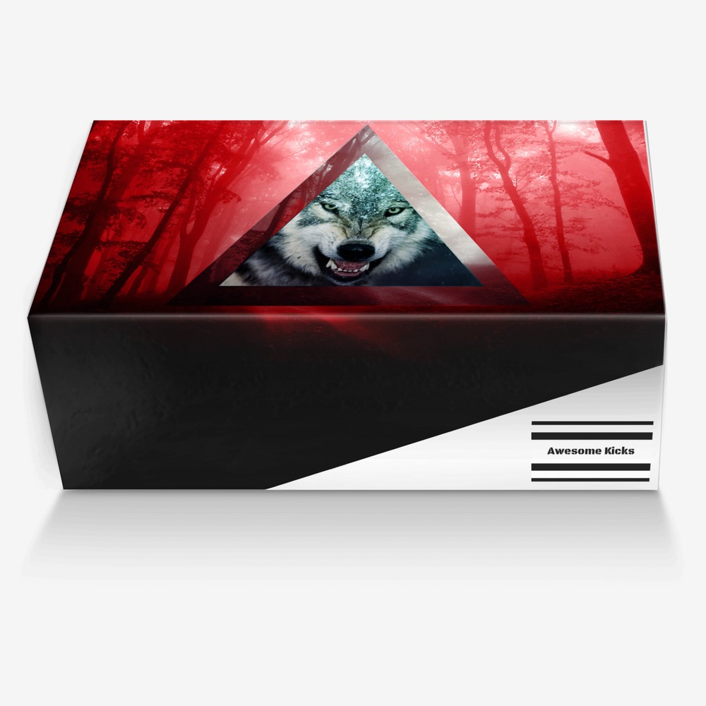 Awesome Kicks custom made in Italy shoes by Jaden Hope Miner | Box view