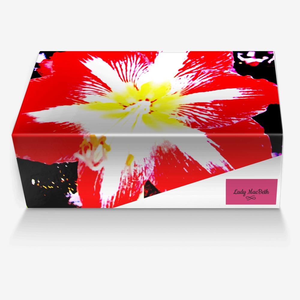 Lady MacBeth custom made in Italy shoes by Lauretta Macbeth | Box view