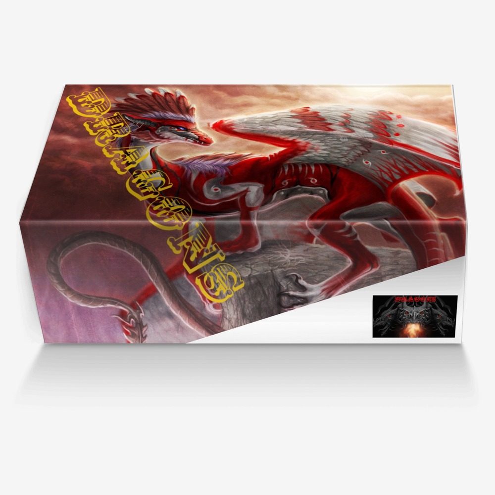 dragons custom made in Italy shoes by Nora Payeton | Box view