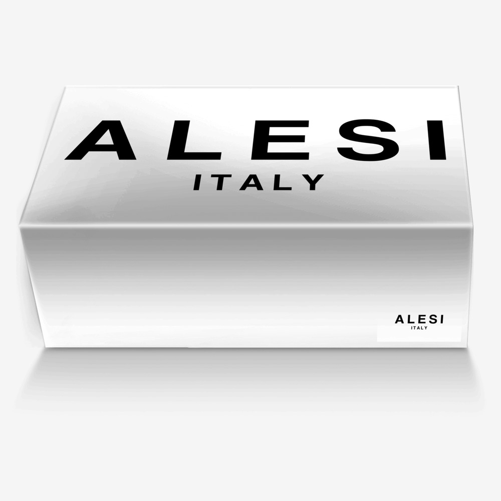 Alesi Zipper Heel custom made in Italy shoes by Lonanthony Parker | Box view