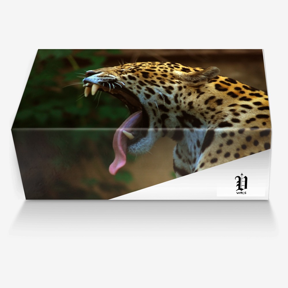 vics jaguar  custom made in Italy shoes by Brayden Murphy | Box view