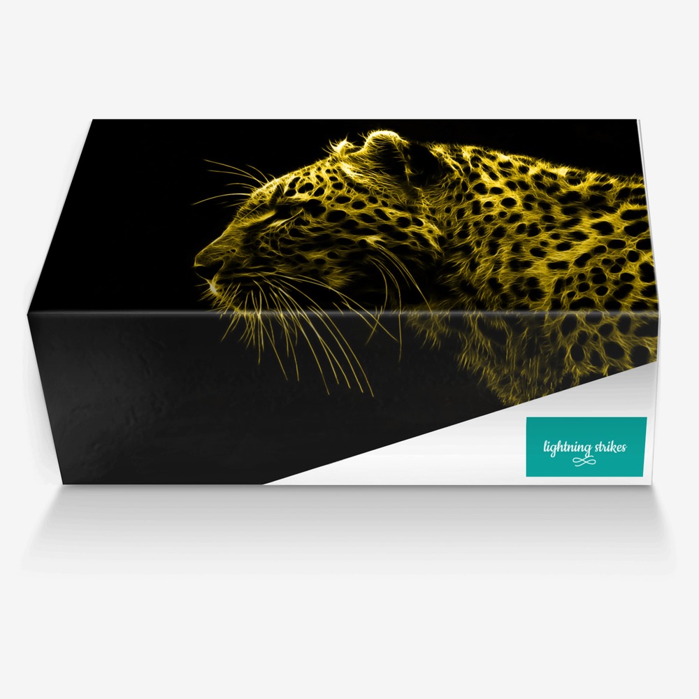 lightning strikes custom made in Italy shoes by Jace Black | Box view
