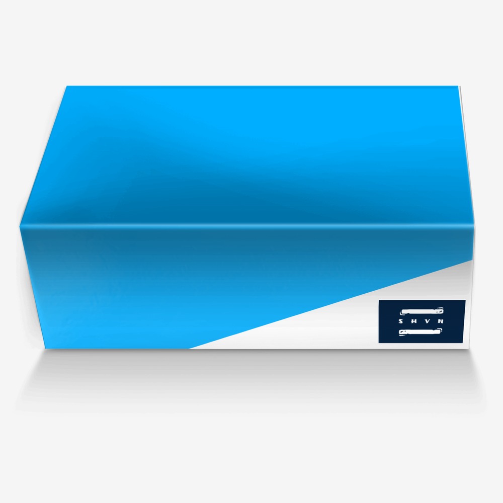 SHVN S1 FB custom made in Italy shoes by Shun Michael Kosaka | Box view