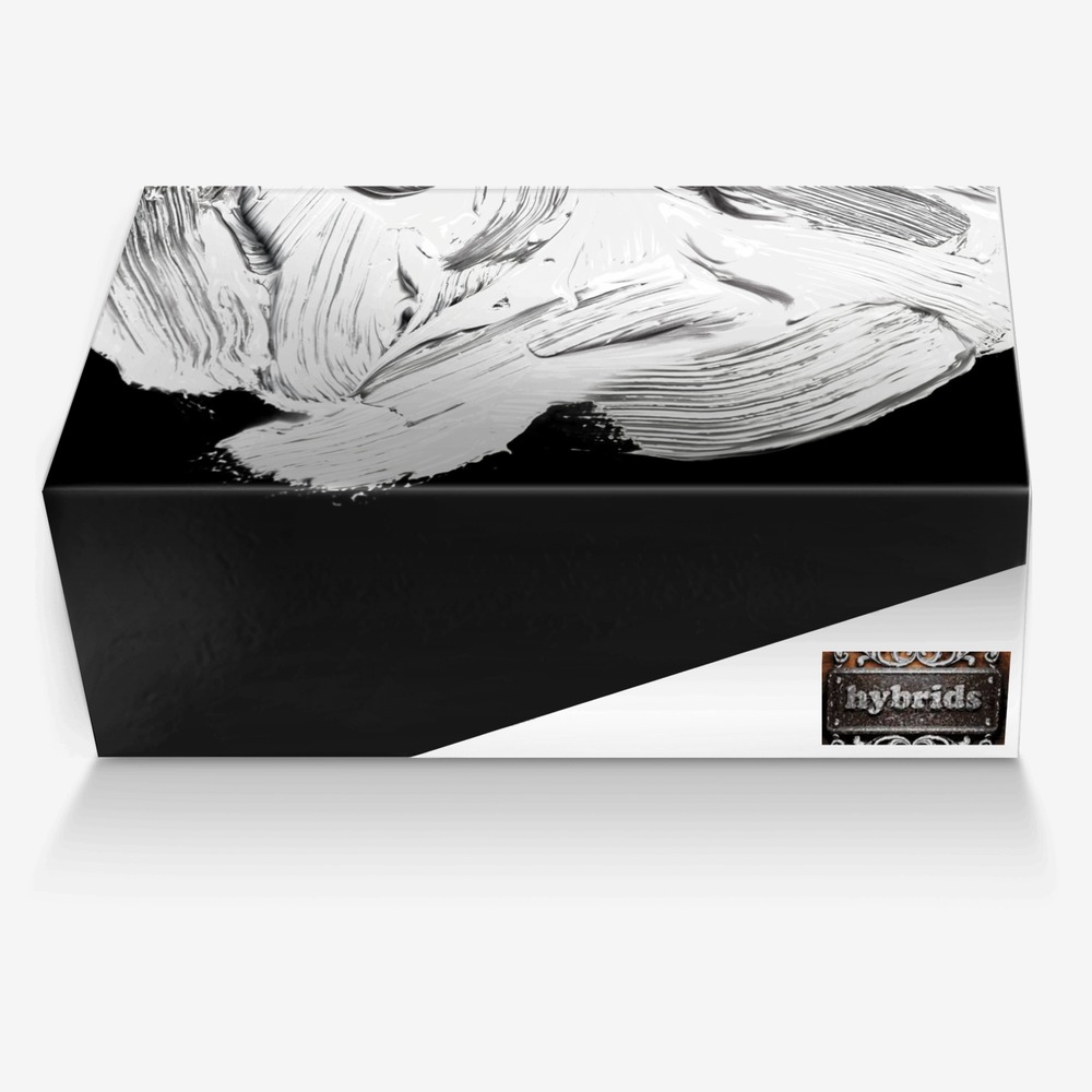 Hybrids custom made in Italy shoes by Michelle Jordan | Box view