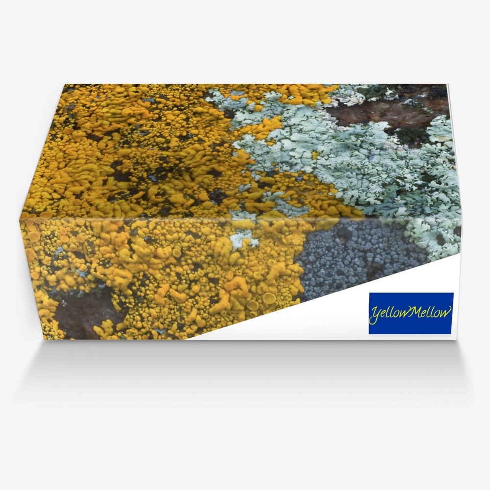 YellowMellow custom made in Italy shoes by Mira Memora | Box view