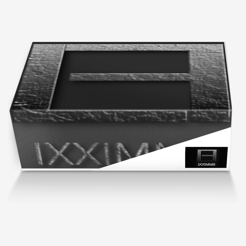 fearless custom made in Italy shoes by Darren Davis-kandler | Box view