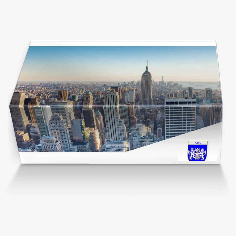 City of champions  custom made in Italy shoes by Aidan Kelly | Box view