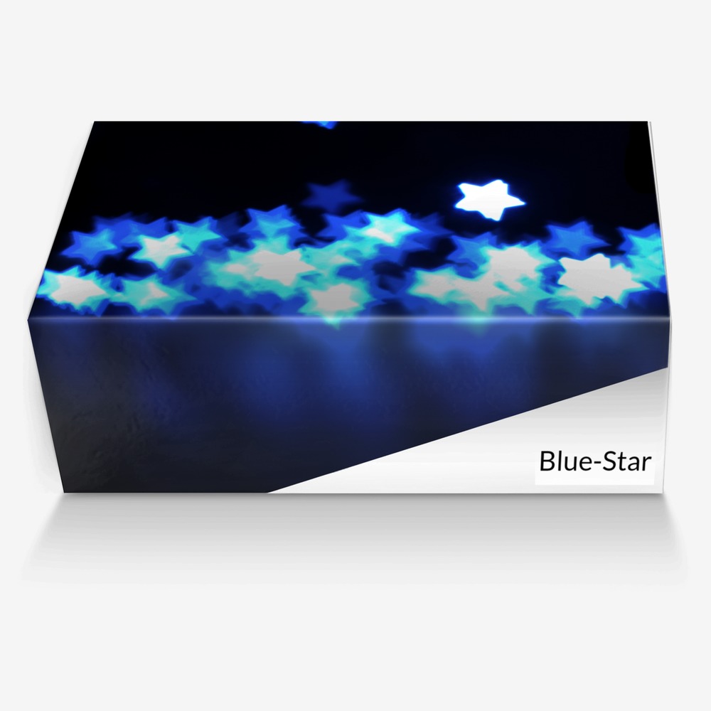 Blue-Stars custom made in Italy shoes by Justin Miller | Box view