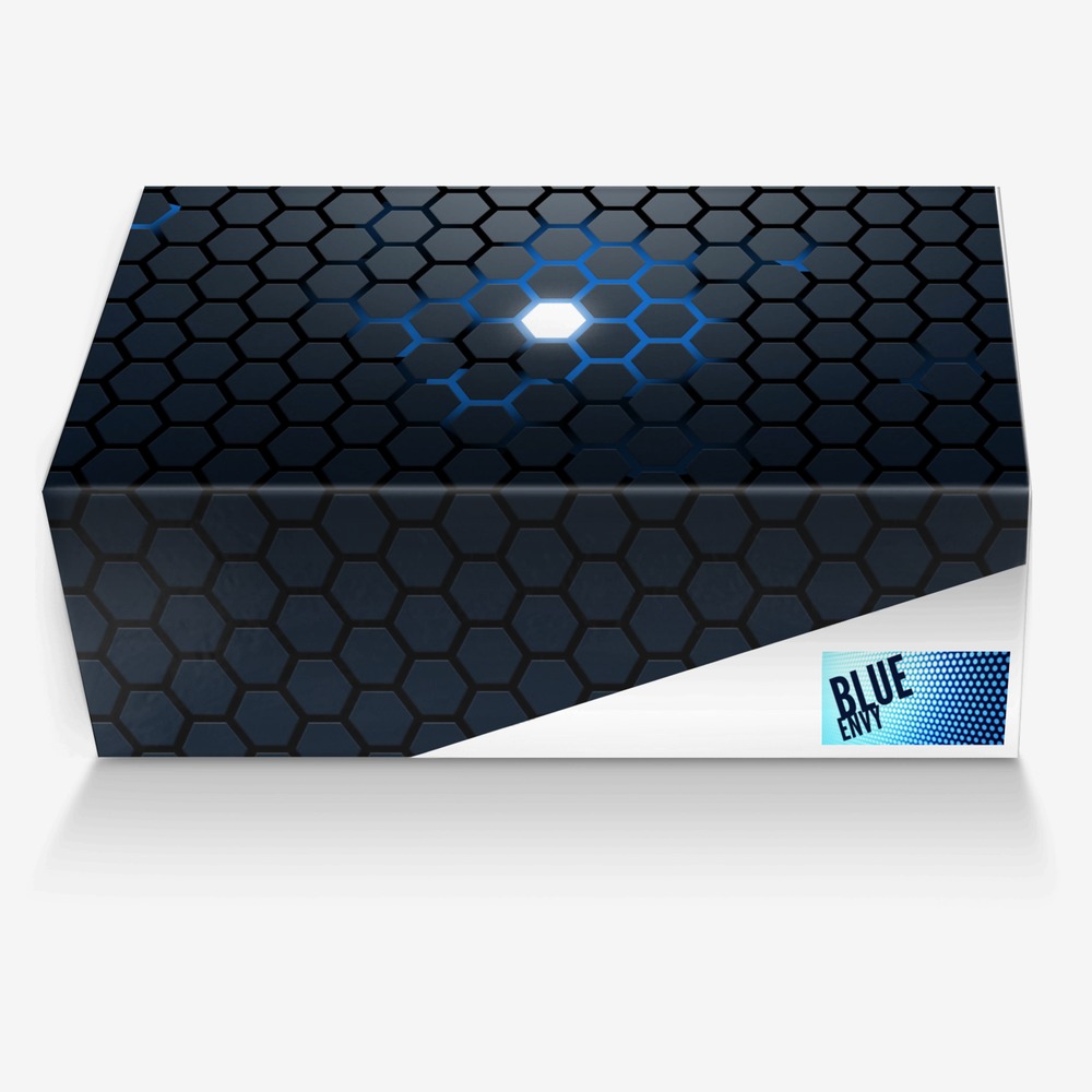 Blue Envy custom made in Italy shoes by Michale Giovanni | Box view