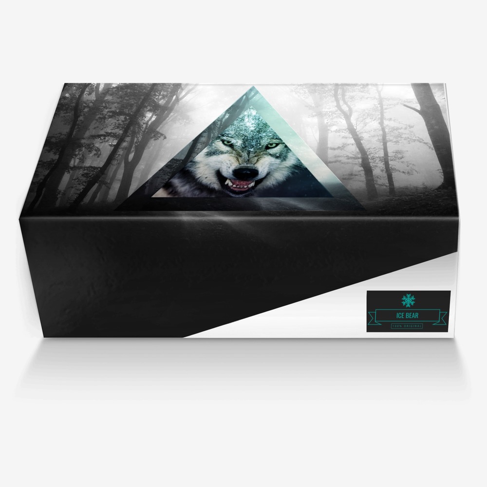 ICE BEAR custom made in Italy shoes by Ashton French | Box view