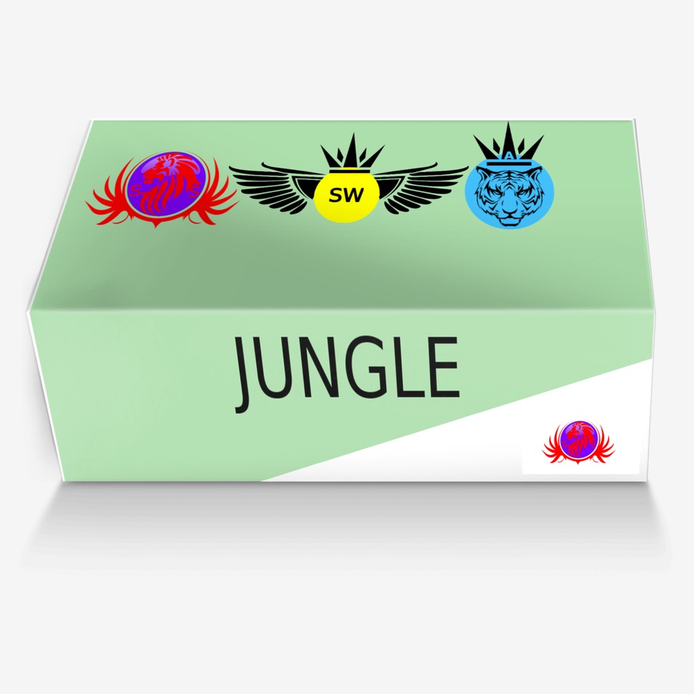 Jungle custom made in Italy shoes by Seyon Sevverl | Box view