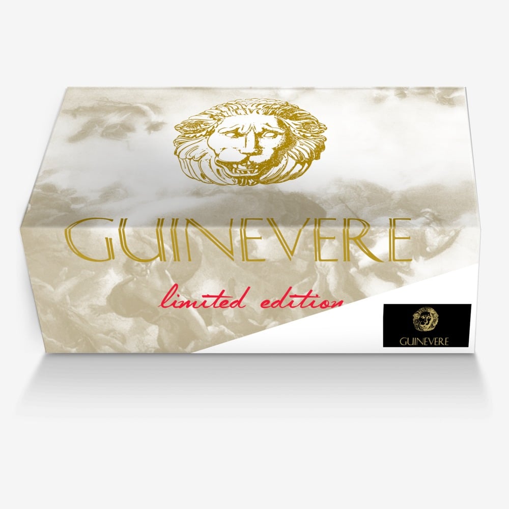 Guinevere custom made in Italy shoes by Daniel Tsvetanov | Box view