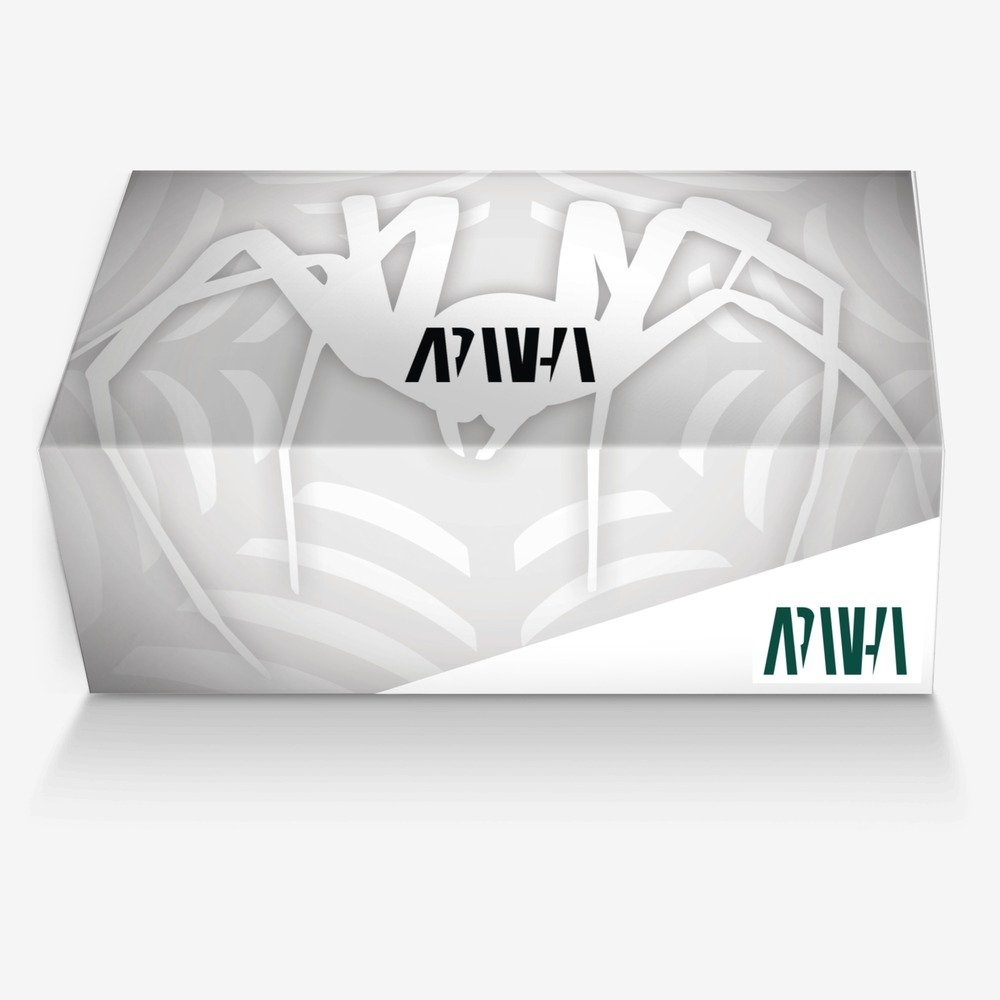 Aranha custom made in Italy shoes by Tony Aranha | Box view