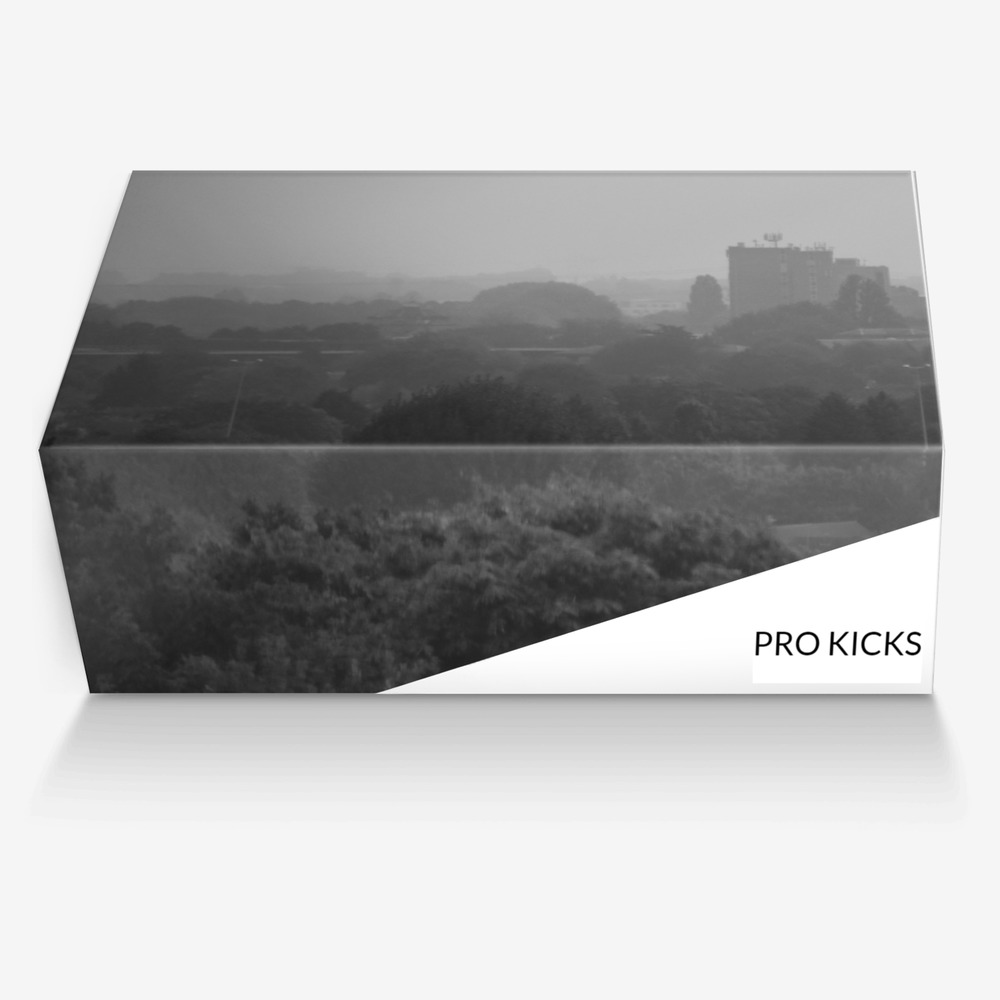 PRO KICKS custom made in Italy shoes by Roxanne Timothy | Box view