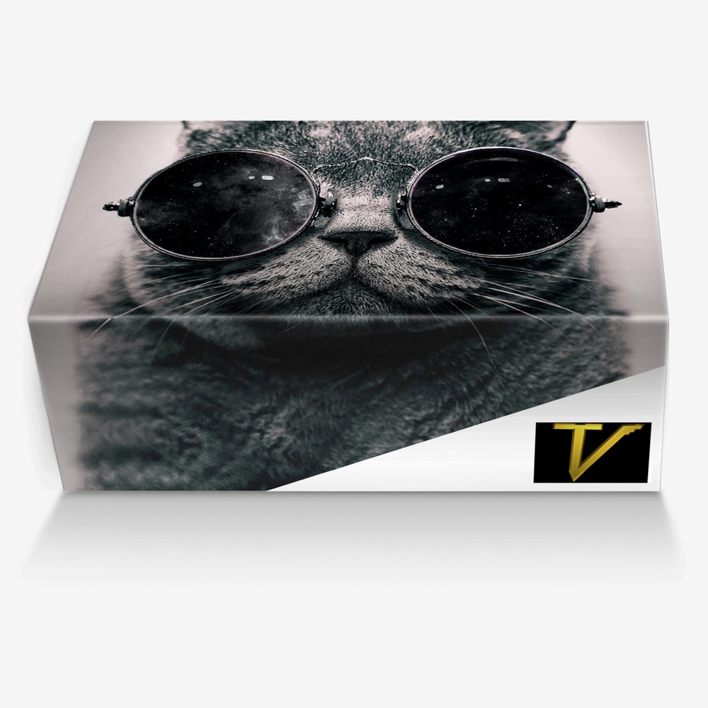 Maxed out custom made in Italy shoes by Lamont Sanders | Box view