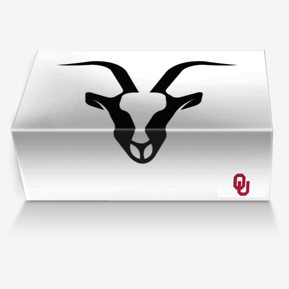GOAT custom made in Italy shoes by Jdjrj | Box view