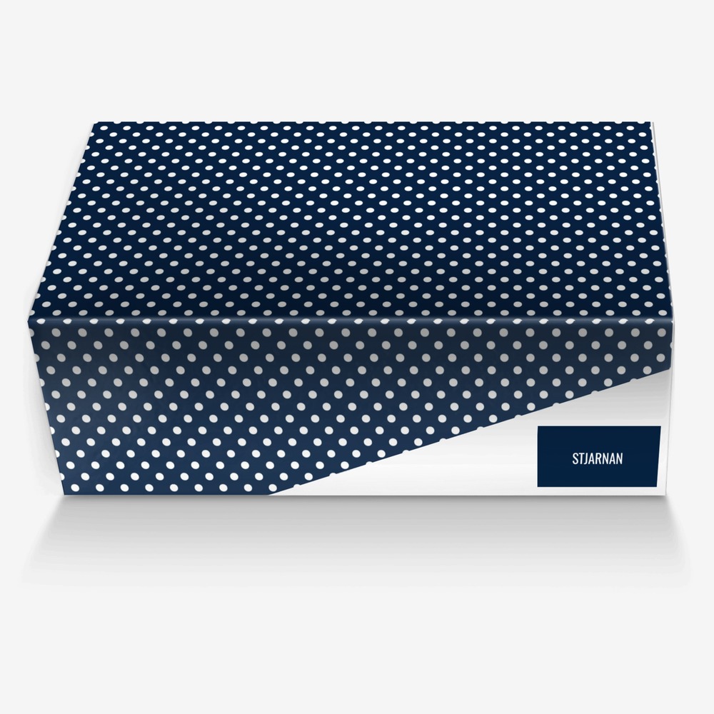 STJARNAN custom made in Italy shoes by Dyri Kristjansson | Box view