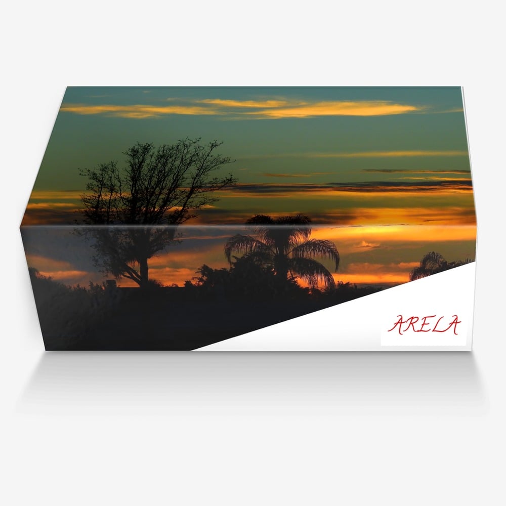 Arela custom made in Italy shoes by Dennis Singleton | Box view