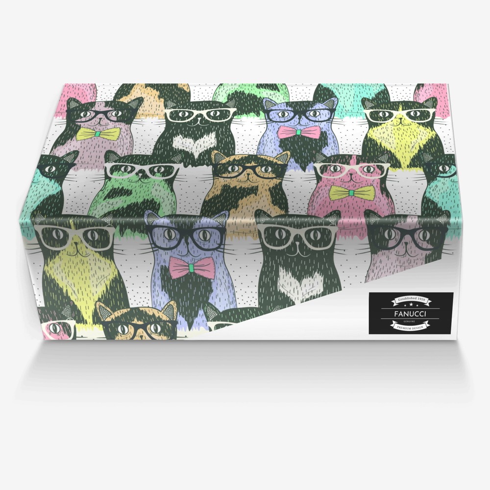 fanucci custom made in Italy shoes by Juelz Fanucci | Box view