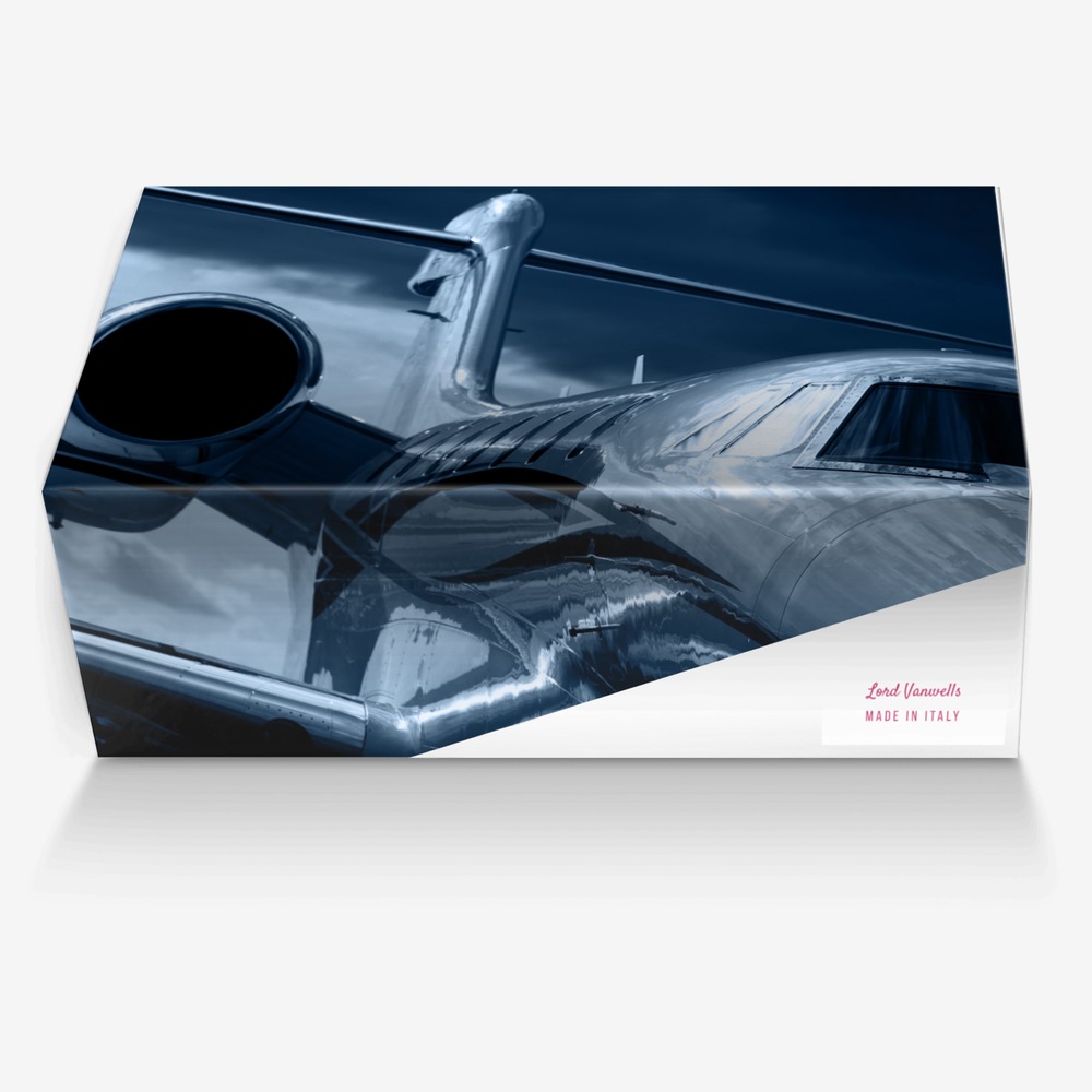 Lord Vanwells custom made in Italy shoes by Shae vanwells | Box view