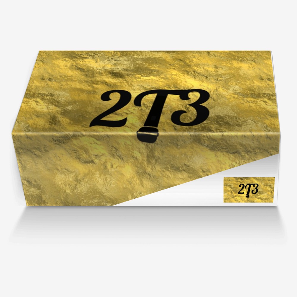 2T3  custom made in Italy shoes by Latwuan Edwards | Box view