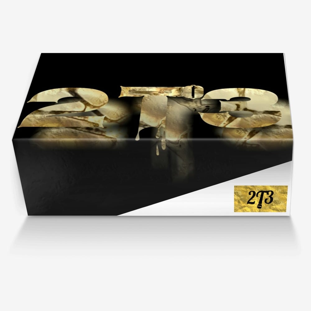 2T3  custom made in Italy shoes by Latwuan Edwards | Box view